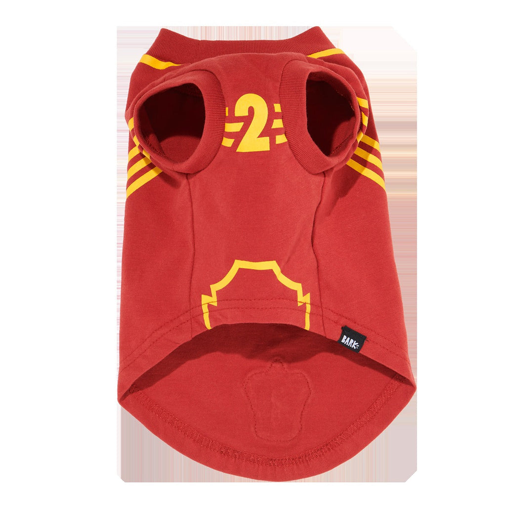 QuidditchTM Jersey