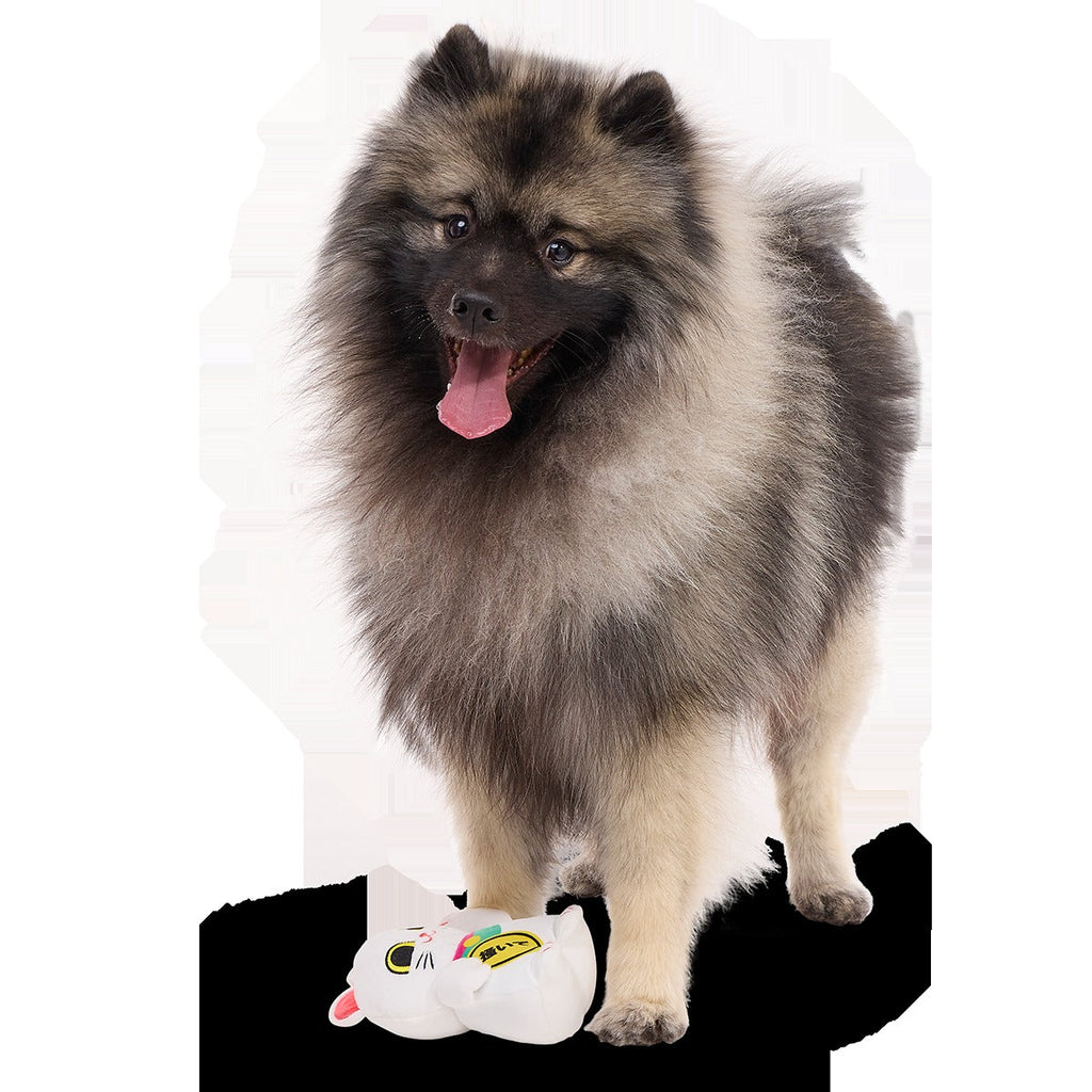Maneki Mariko Plush Tug Dog Toy