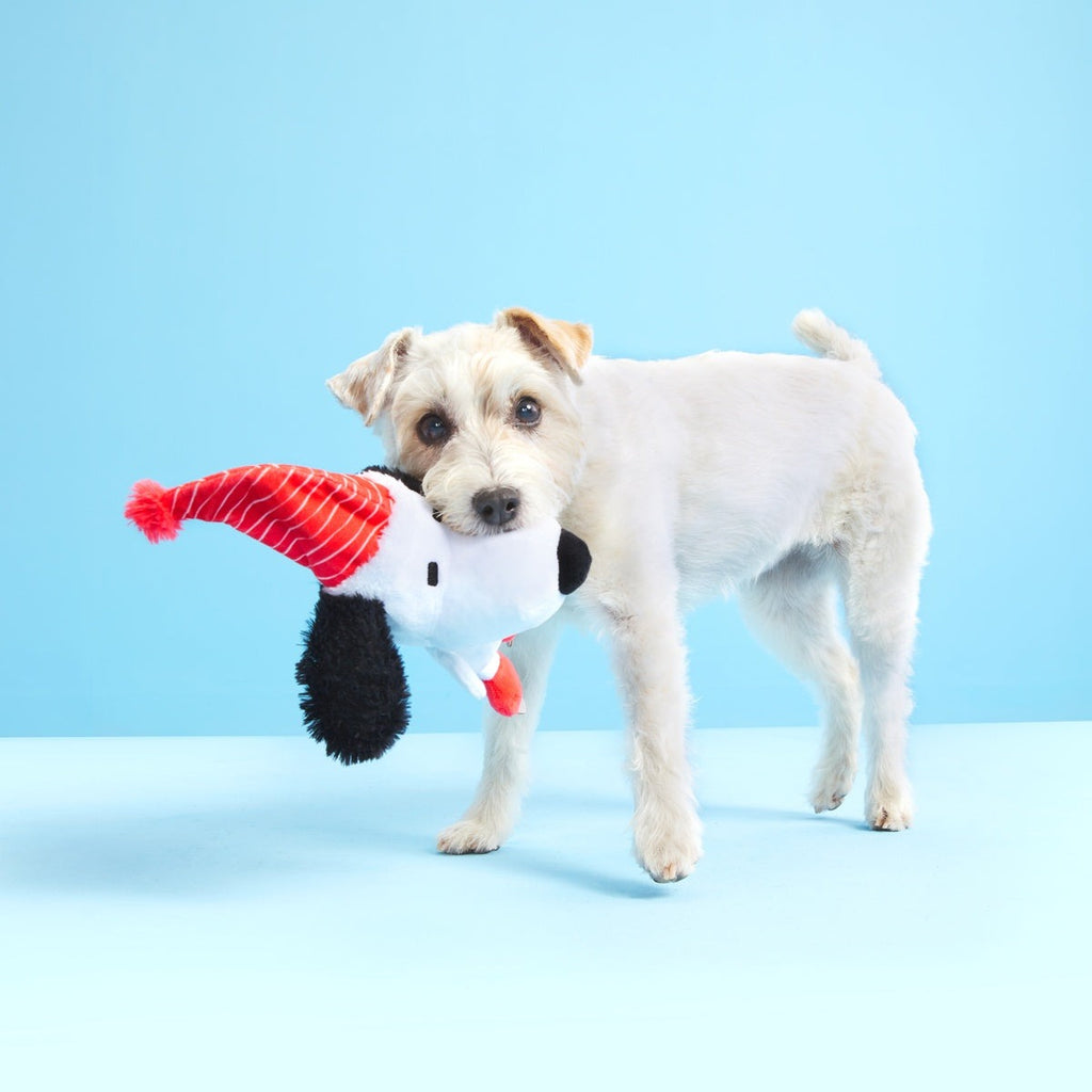 Skating Snoopy Tug Dog Toy