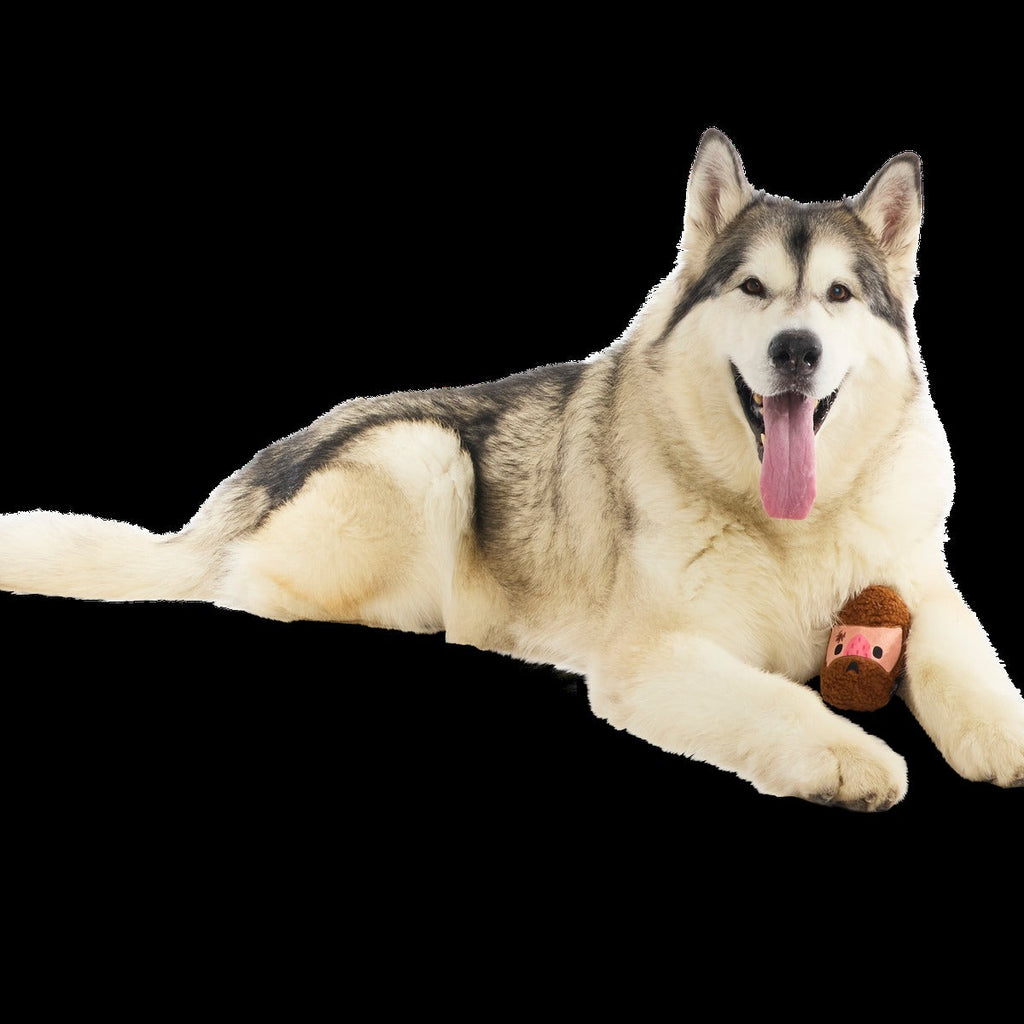 Mean Mad Marv Durable Super Chewer Dog Toy