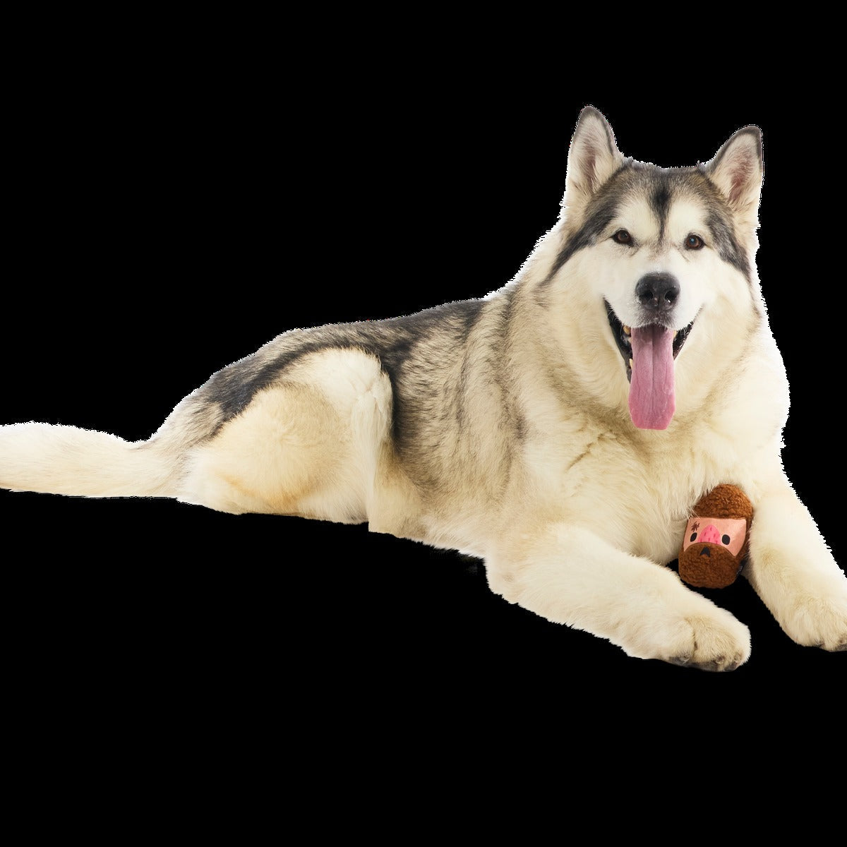 Mean Mad Marv Durable Super Chewer Dog Toy