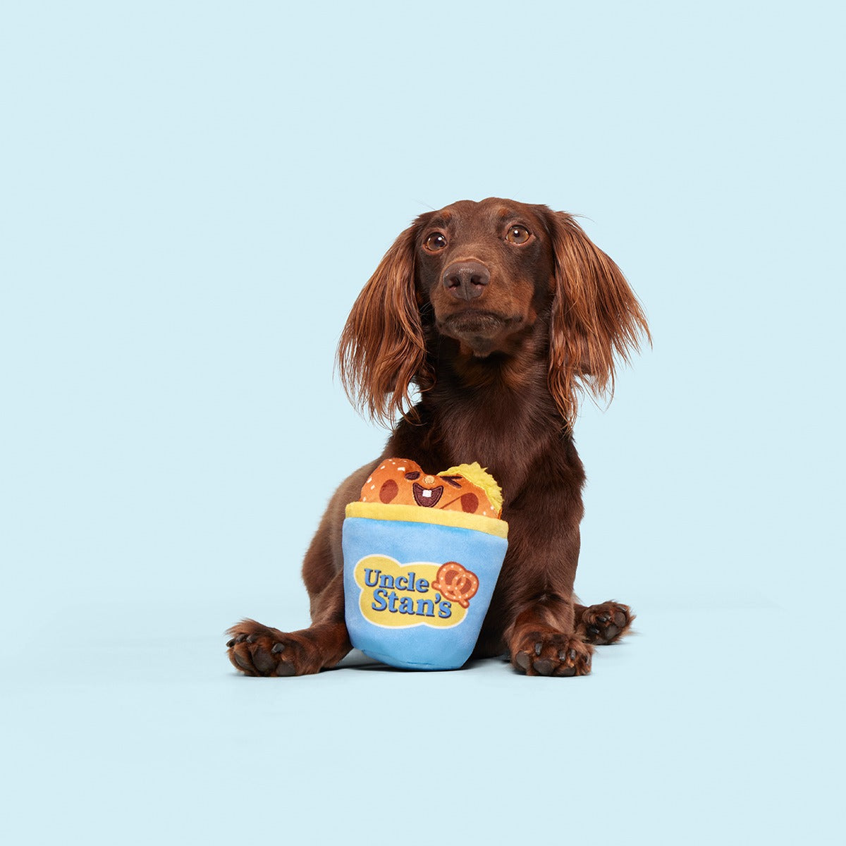 Salty Stan Plush Multi-Part + Enrichment Dog Toy
