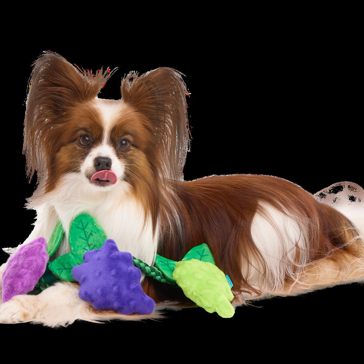 Chew The Grapevine Plush Tug Dog Toy