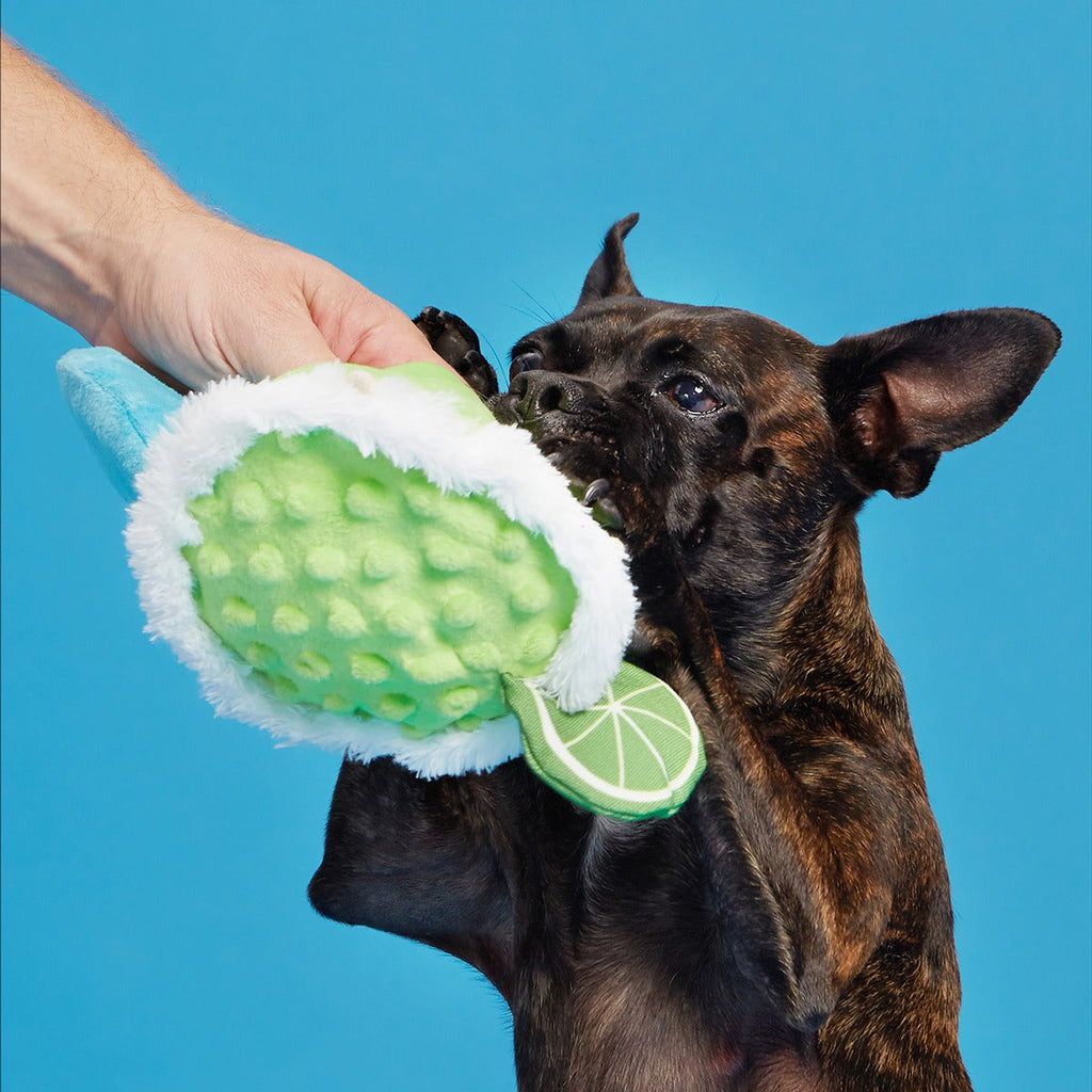 Muy Squeaky Margarita Plush Tug Dog Toy