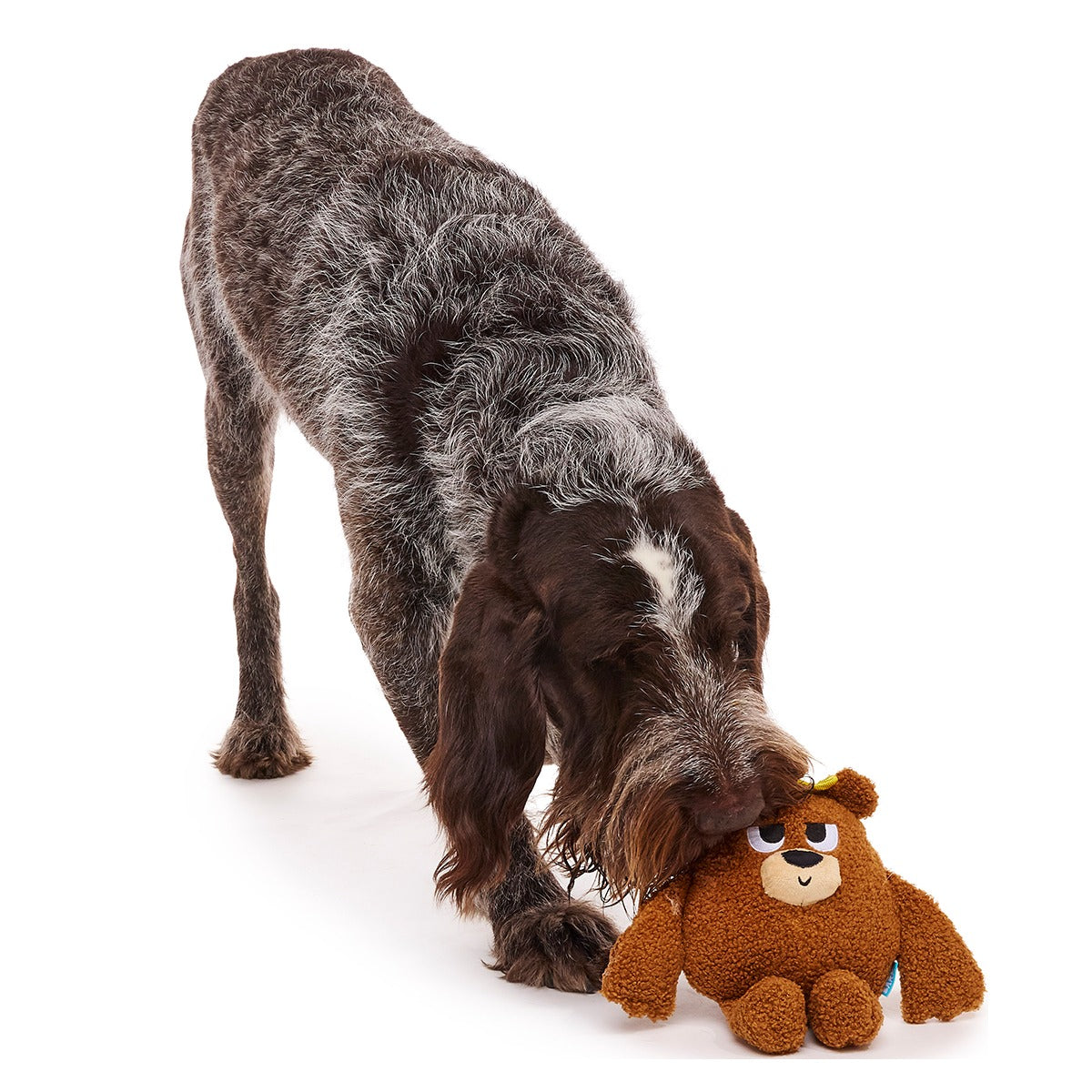 King Bearthur Plush Tug Dog Toy