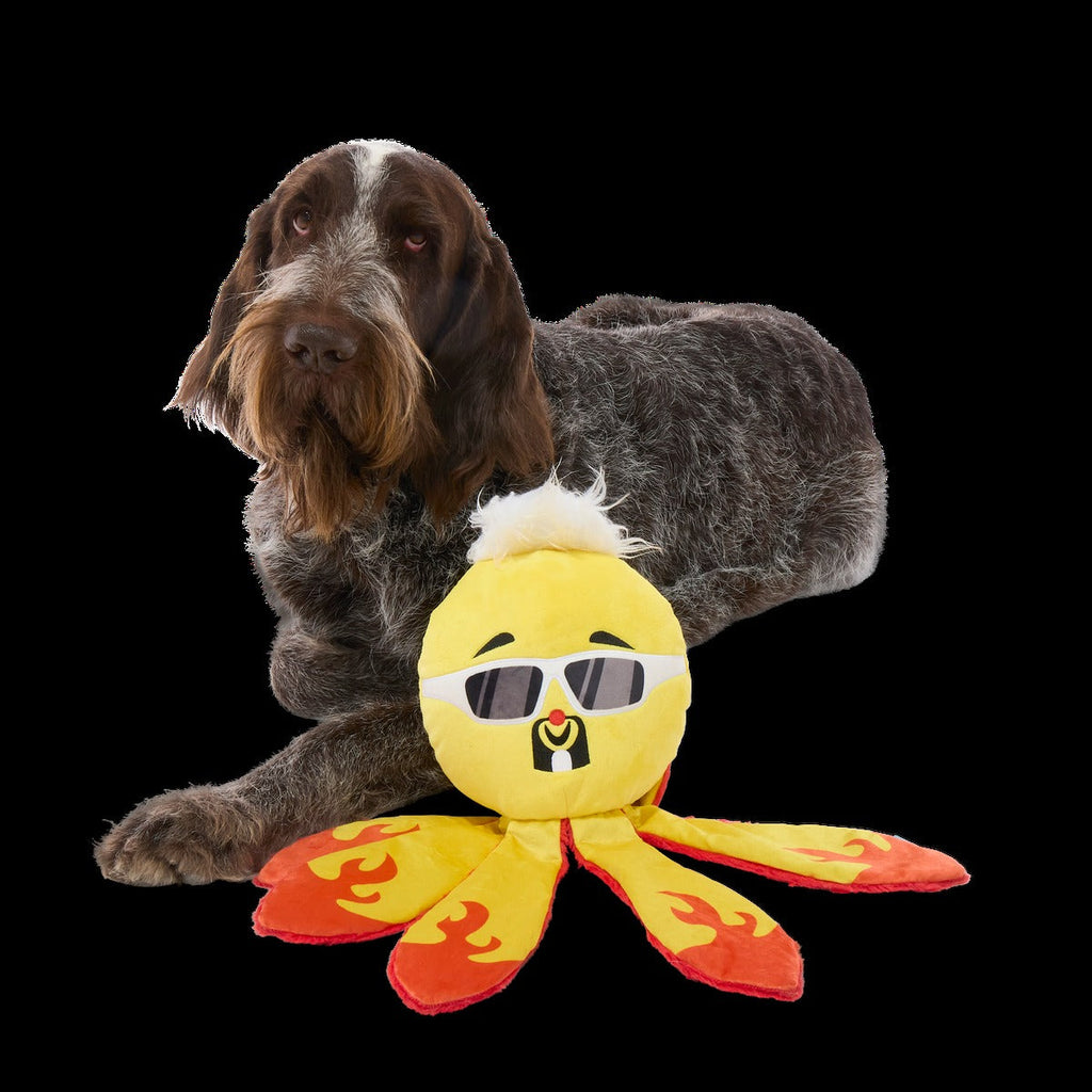 Off The Hook Ollie Plush Extra-Large + Tug Dog Toy