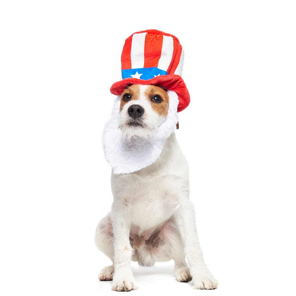 Dog Bless America Plush Wearable + Tug Dog Toy