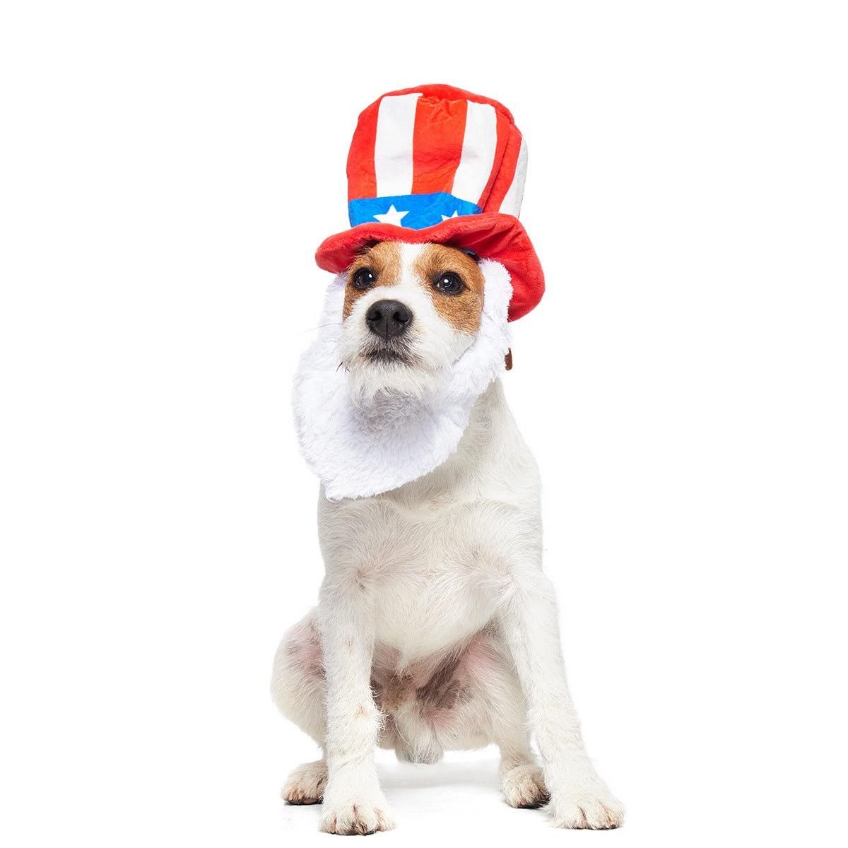 Dog Bless America Plush Wearable + Tug Dog Toy