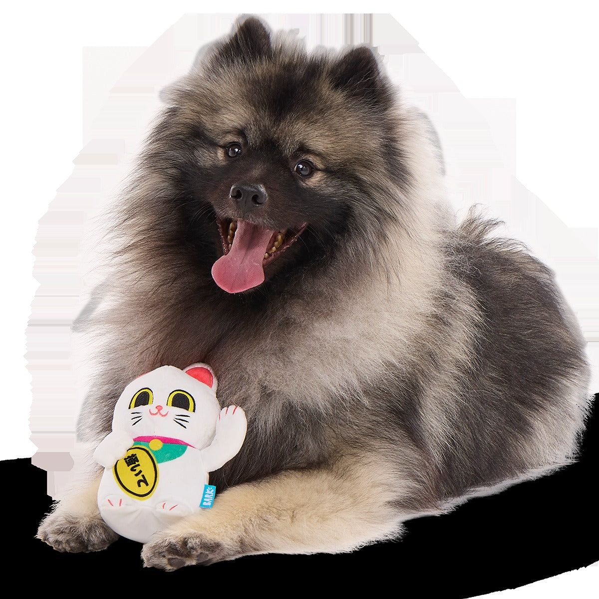 Maneki Mariko Plush Tug Dog Toy