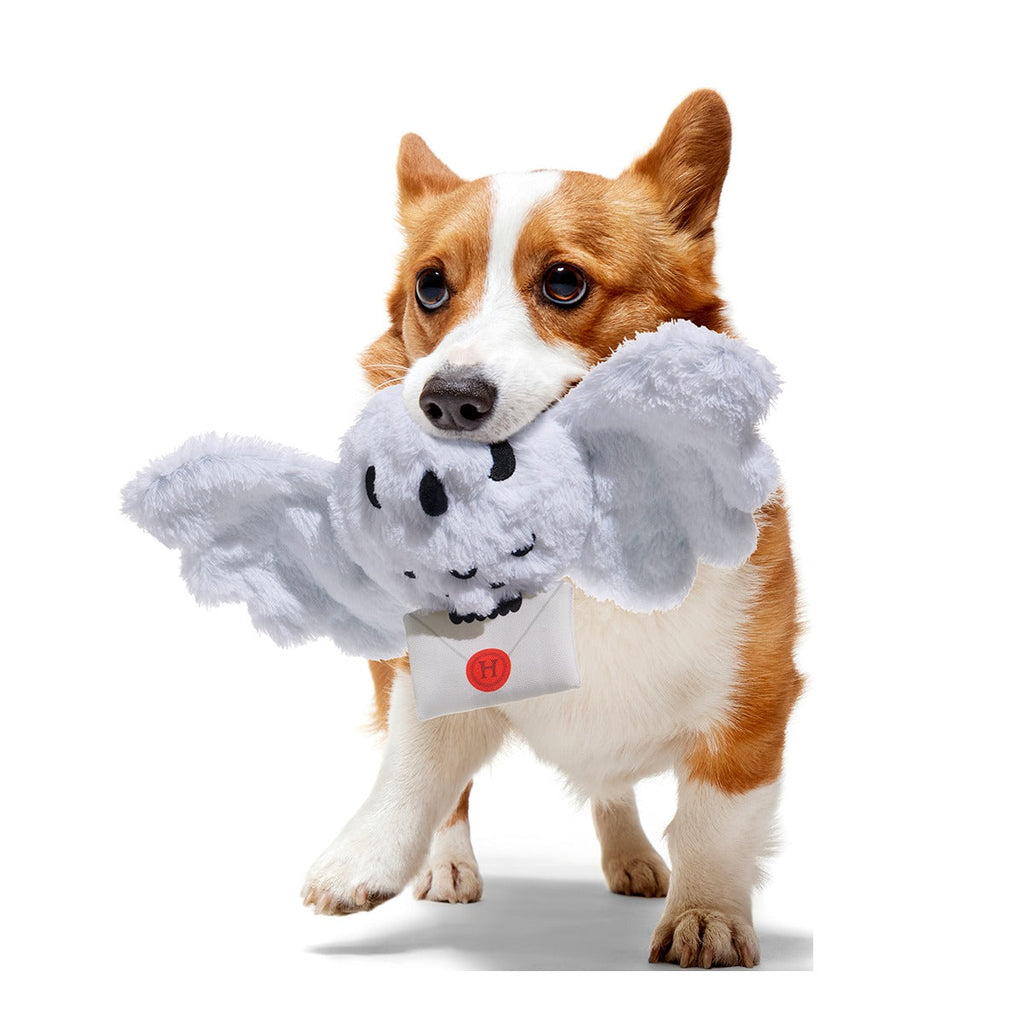 HedwigTM Plush Tug Dog Toy