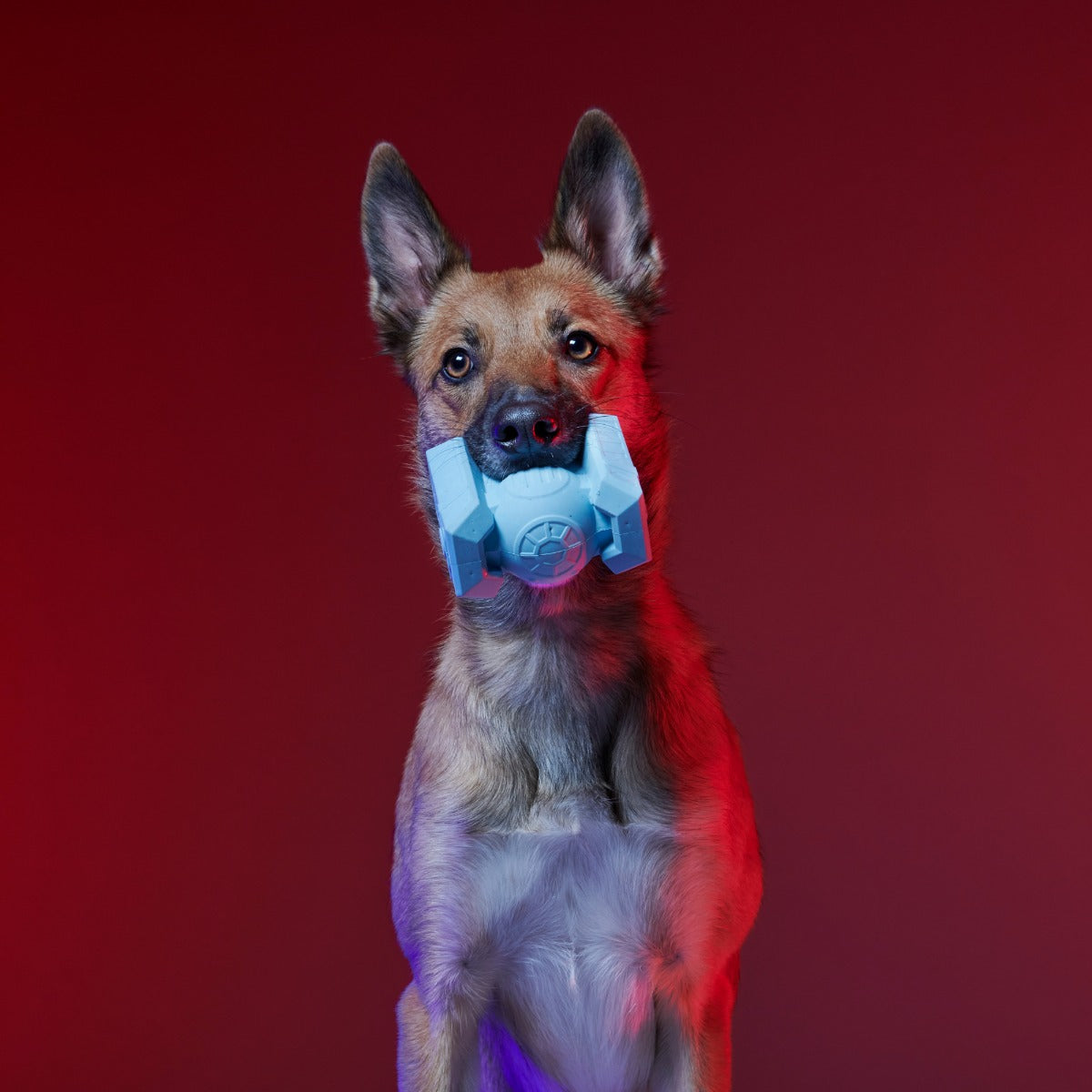 Dark Side Star WarsTM Super Chewer Durable Bundle 2-in-1 + Fetch Dog Toy