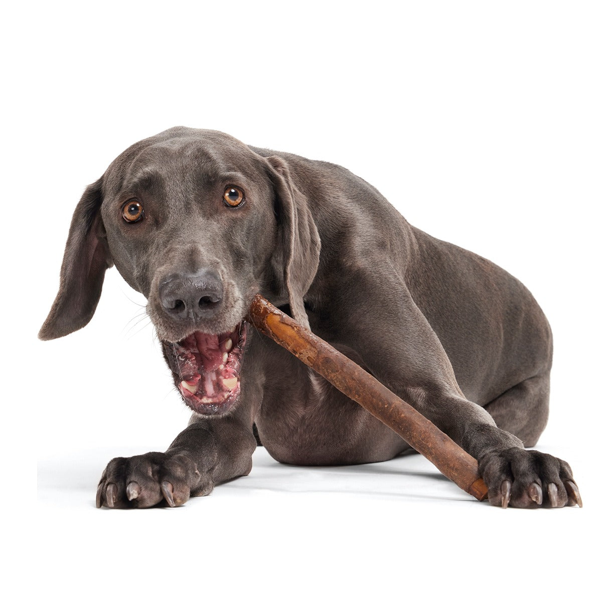 Beefy Chewin' Collagen Dog Chew, 12 inch