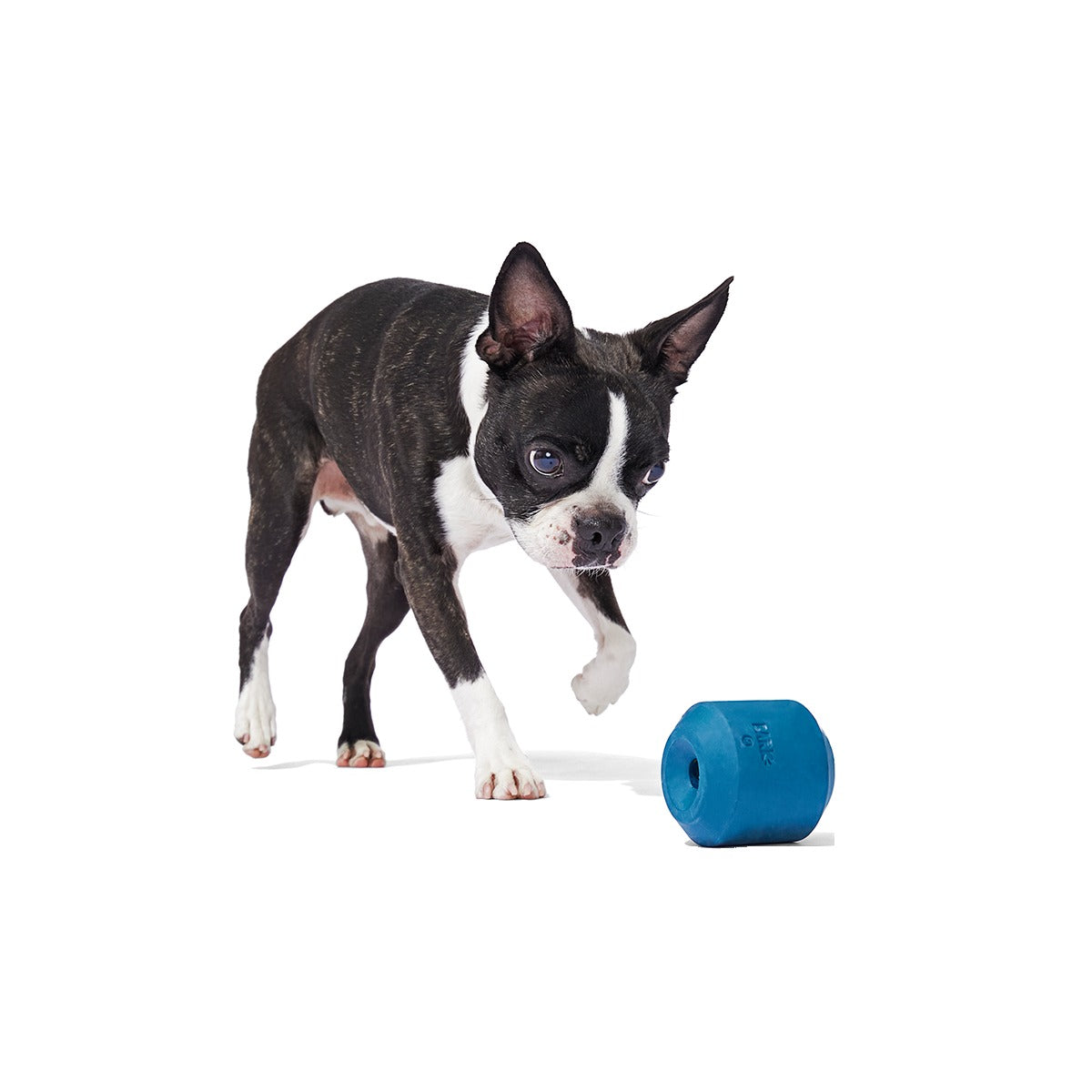 Tank Super Chewer Durable Enrichment Dog Toy