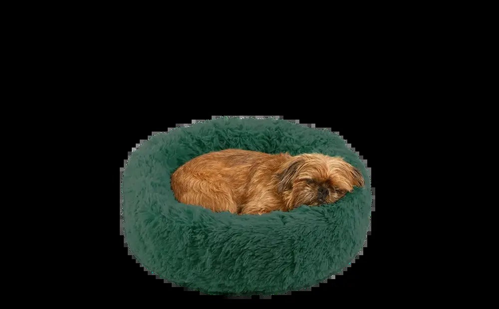 Dog Bed