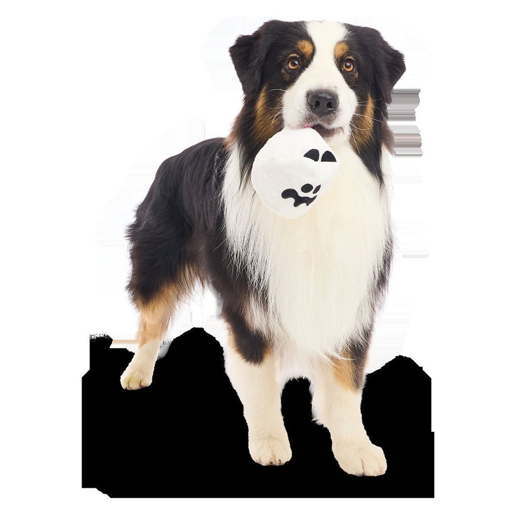 Boo Bee Super Chewer Durable 2-in-1 Dog Toy