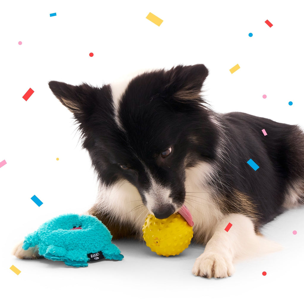 Birthday Super Chewer Gift Box