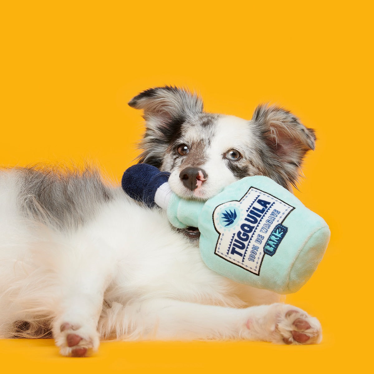 Tug-o-Worm Tugquila Plush Tug Dog Toy