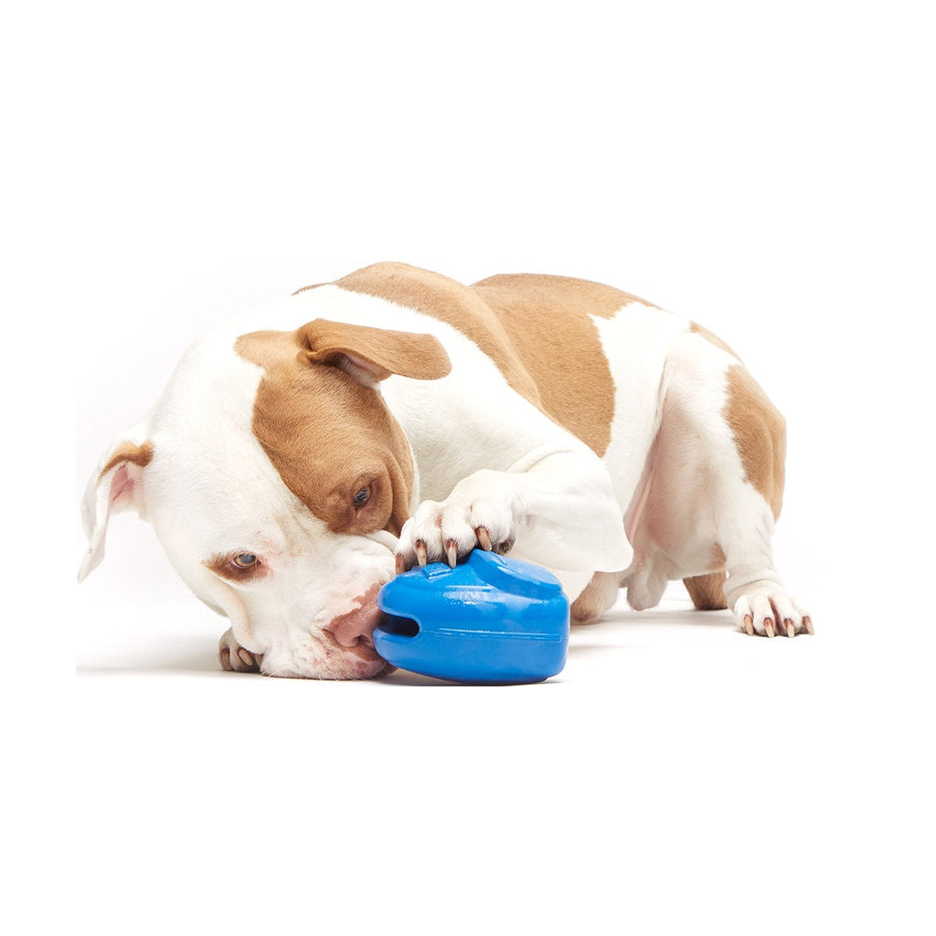 Knapsack Super Chewer Durable Enrichment Dog Toy
