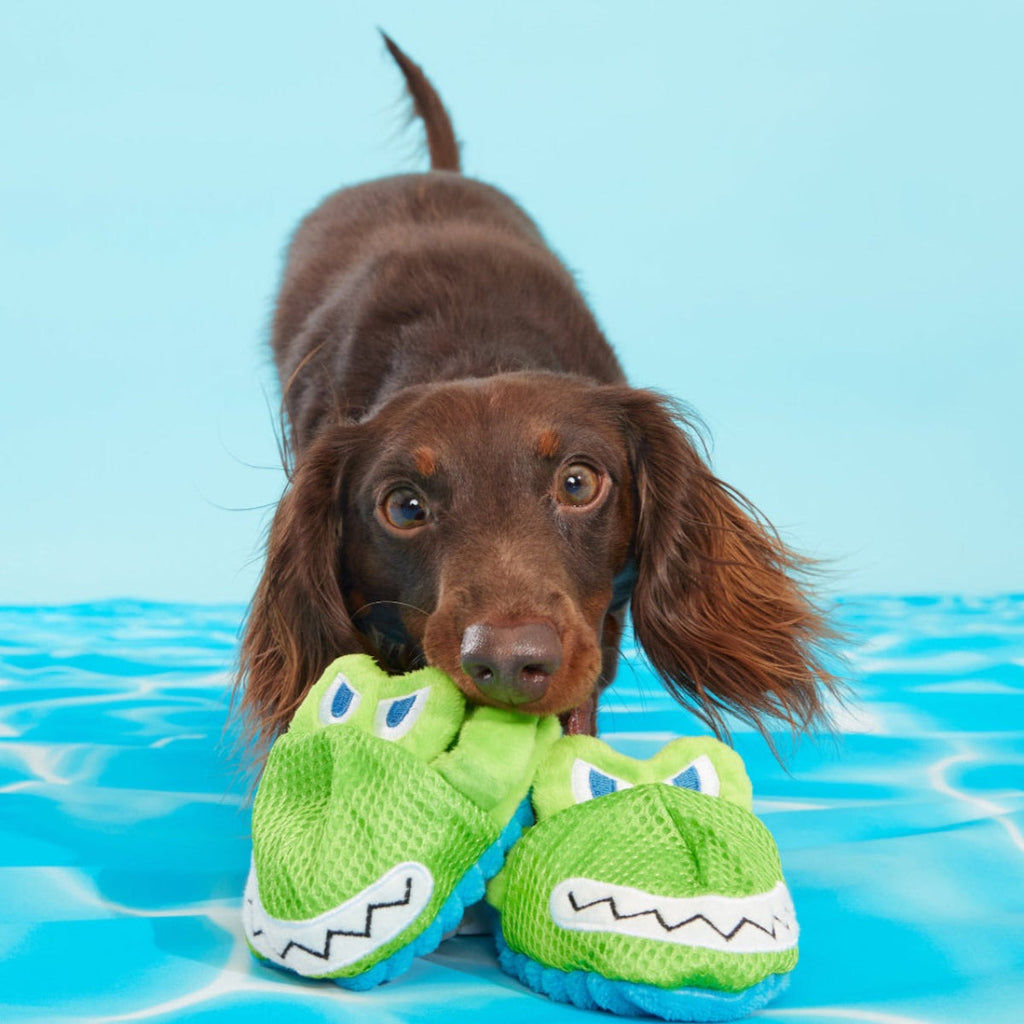 Crocks Plush Multi-Part + Enrichment Dog Toy