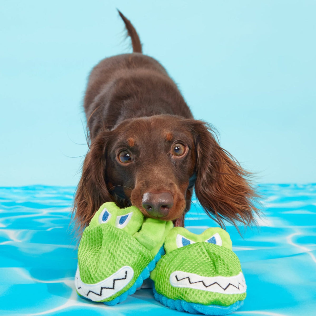 Crocks Plush Multi-Part + Enrichment Dog Toy