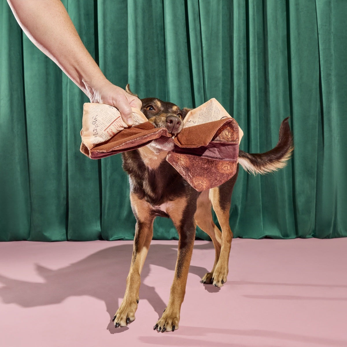 The Grrr-immerie Plush Enrichment Dog Toy