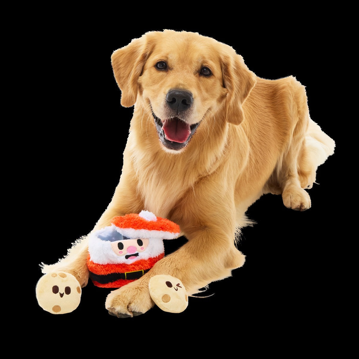 Santa's Jolly Cookie Jar Plush Multi-Part Dog Toy