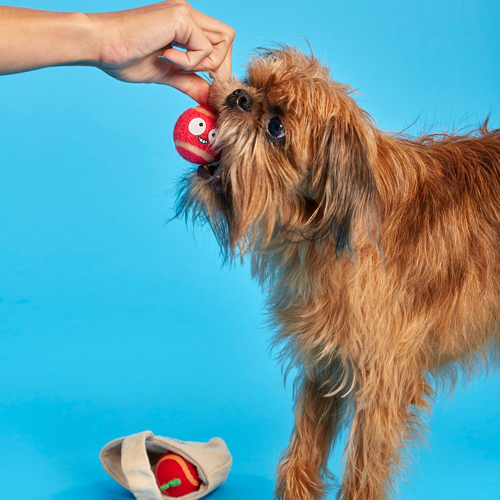 The Munch Bunch Plush Multi-Part + Enrichment + Fetch Dog Toy