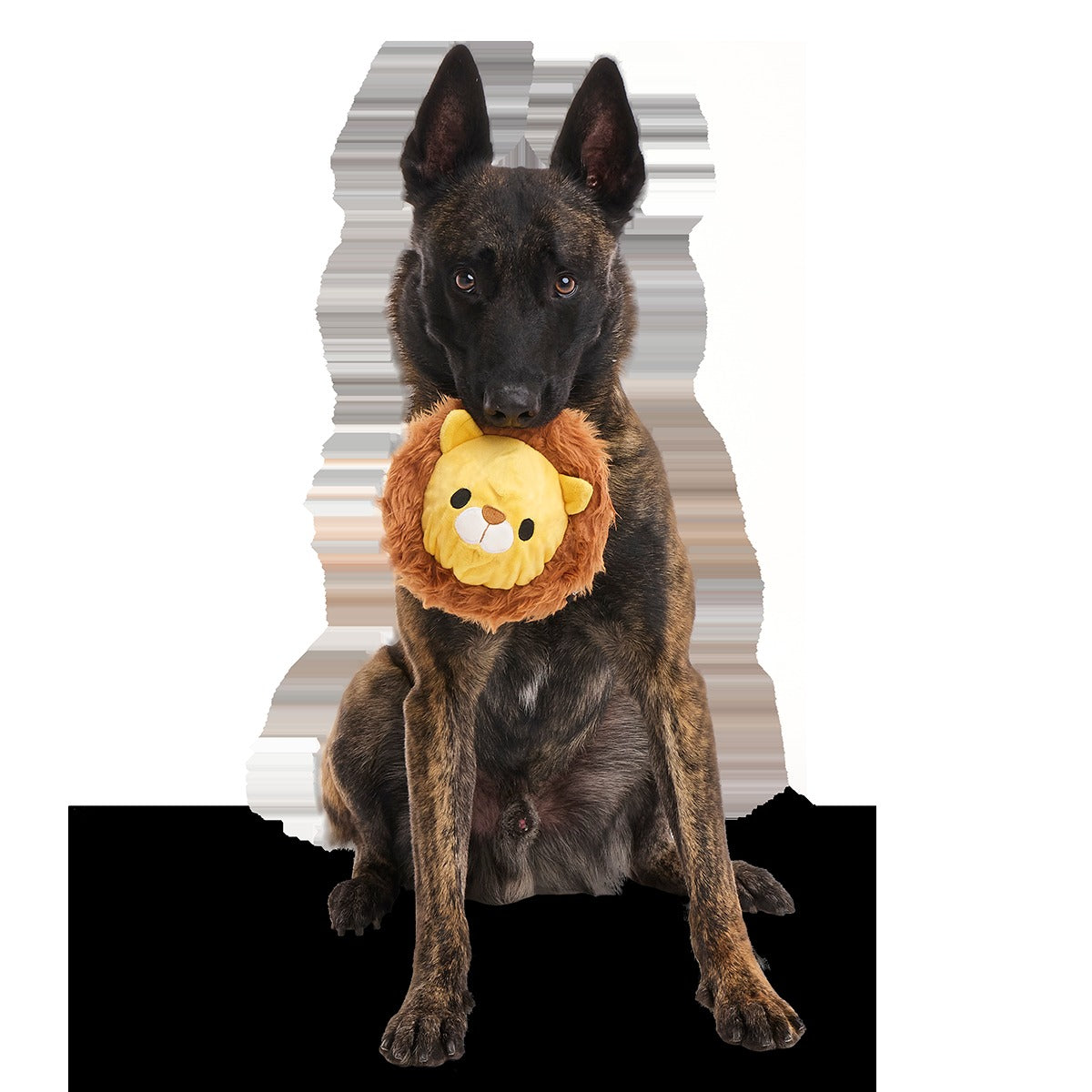 Lionel Lion Super Chewer Durable 2-in-1 + Fetch Dog Toy