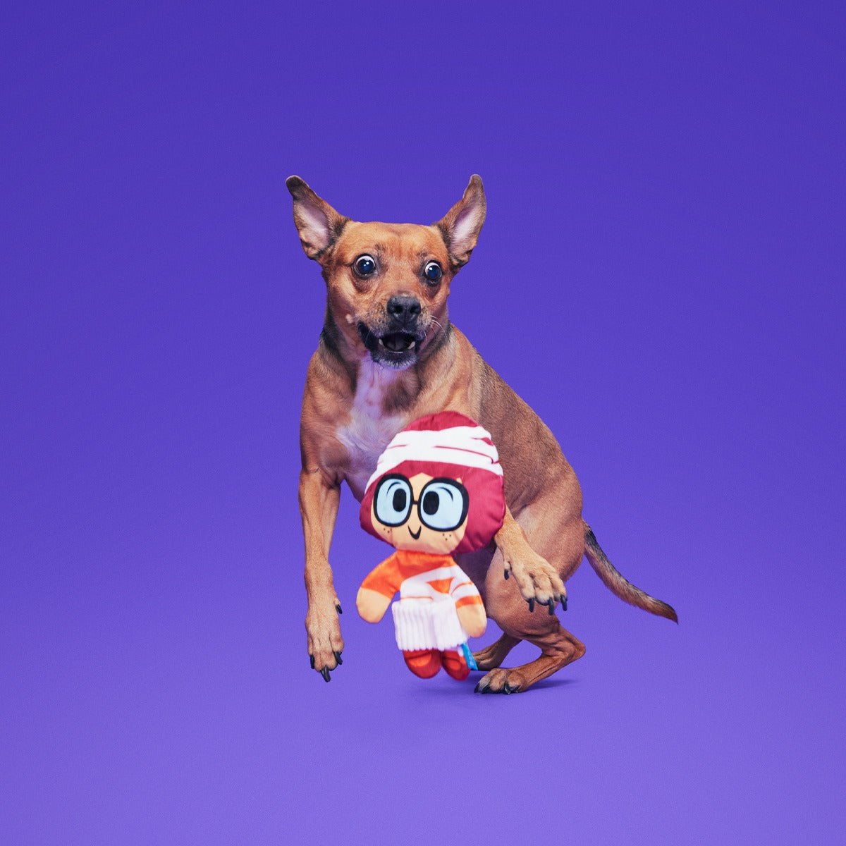 Mummy VelmaTM Plush Tug Dog Toy