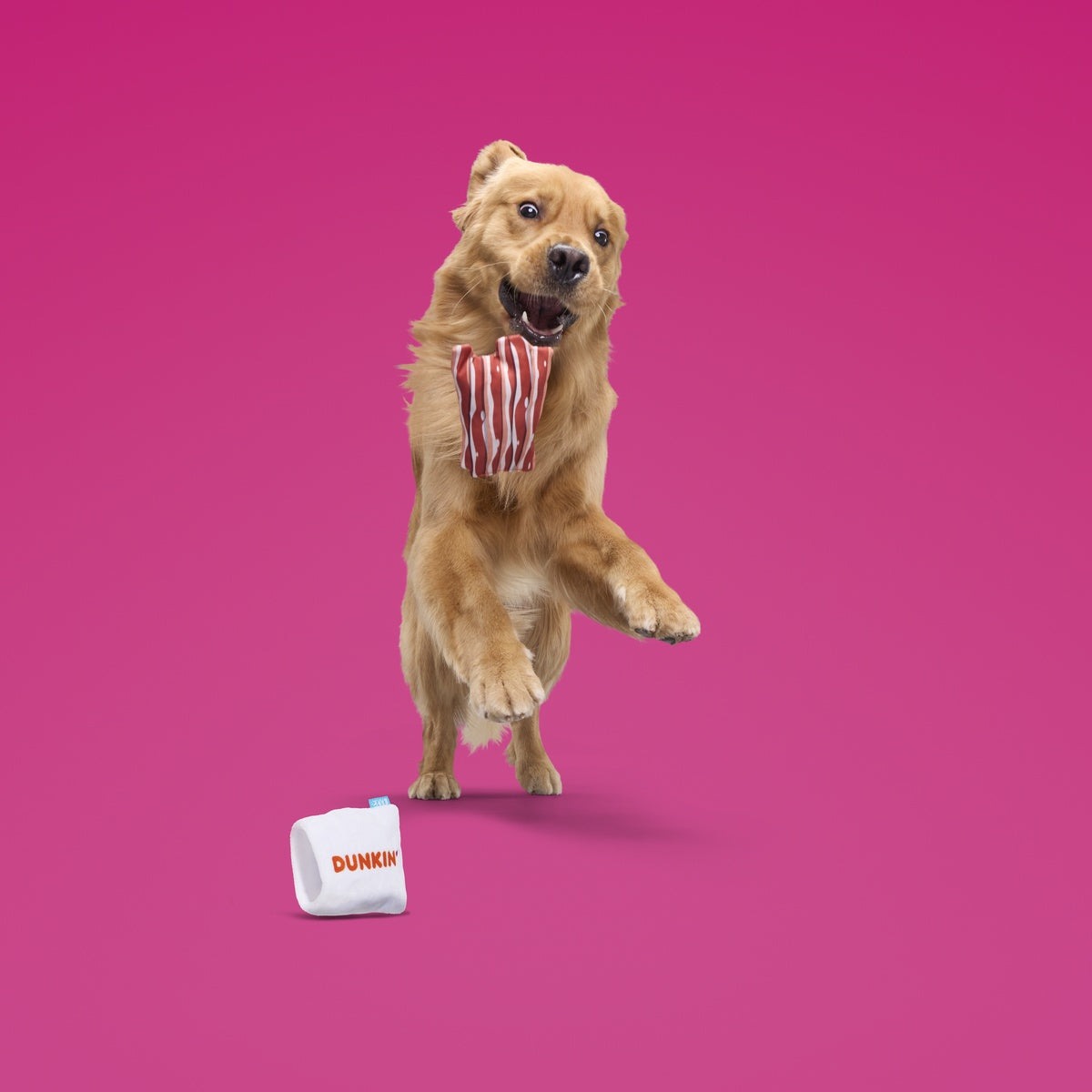 Dunkin'® Snackin' Bacon Plush Multi-Part + Enrichment Dog Toy
