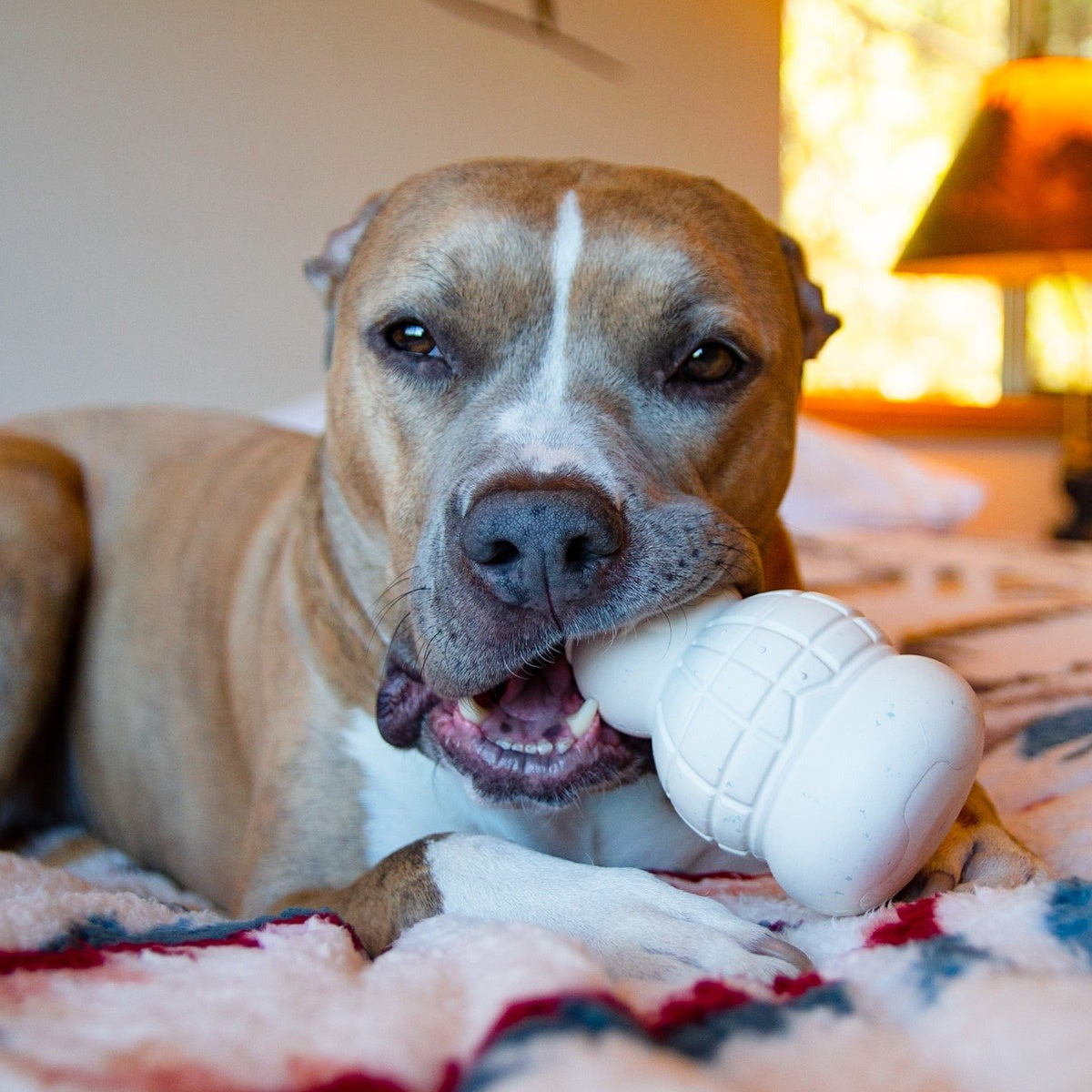 Sam the SnowmanTM Super Chewer Durable Gnaw Dog Toy