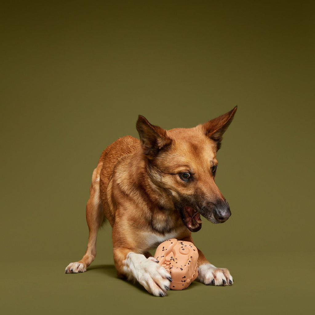 Feeding Time Super Chewer Durable Enrichment Dog Toy