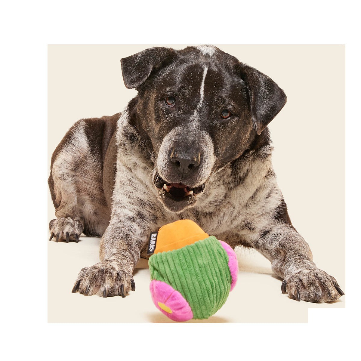 Snactus Super Chewer Durable 2-in-1 + Enrichment Dog Toy