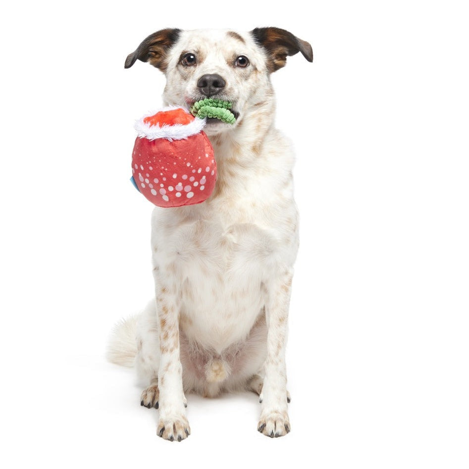 Jingle Juice Plush Dog Toy