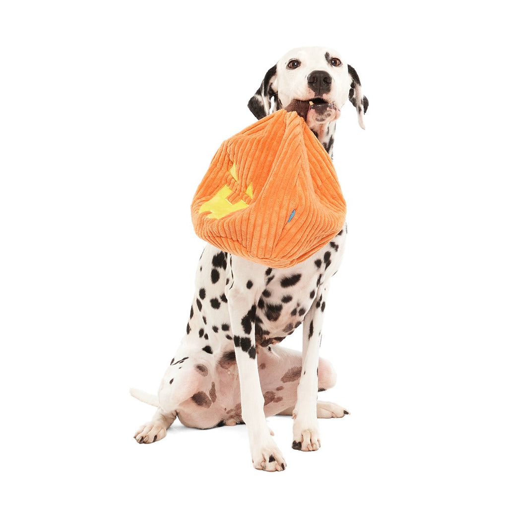 Chumpkin Plush Tug Dog Toy