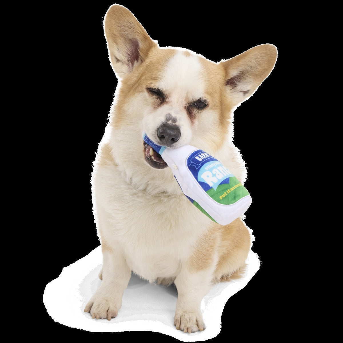 Stinky Valley Ranch Plush Tug Dog Toy