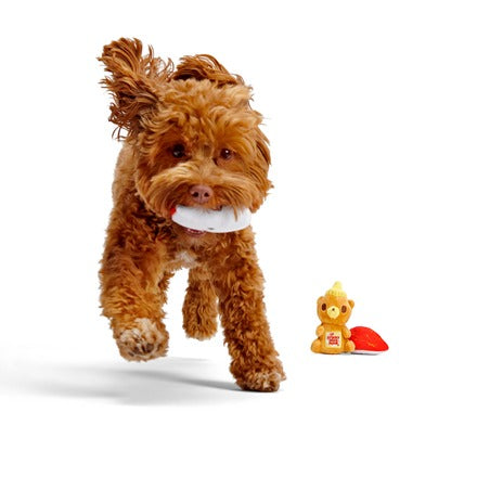 Squeaky New Year Bundle Plush Multi-Part Dog Toy