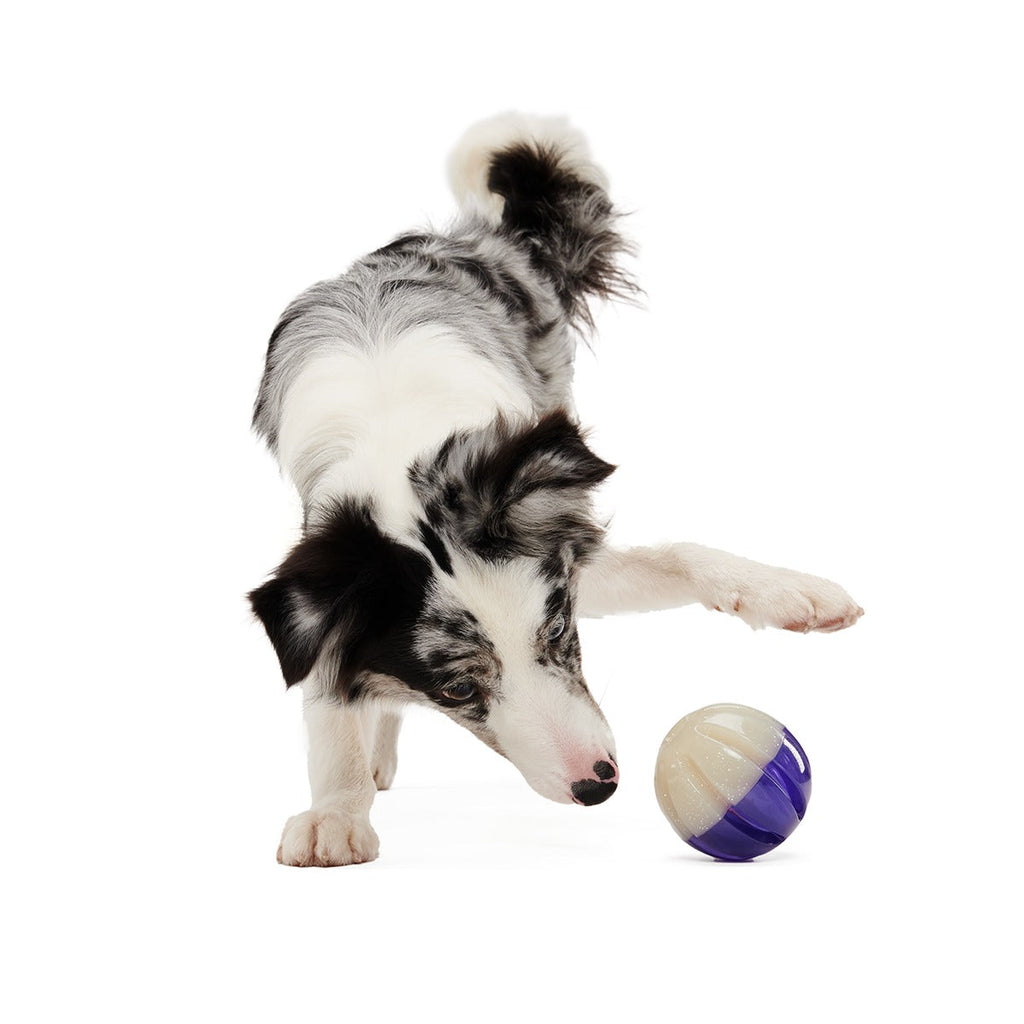 Nepzoom Super Chewer Durable Enrichment + Fetch Dog Toy