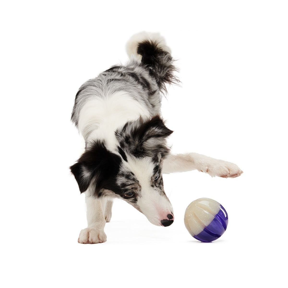 Nepzoom Super Chewer Durable Enrichment + Fetch Dog Toy