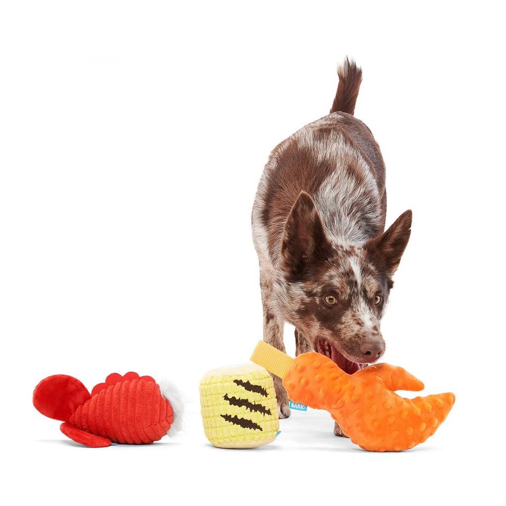 The Maine Event Plush Multi-Part Dog Toy