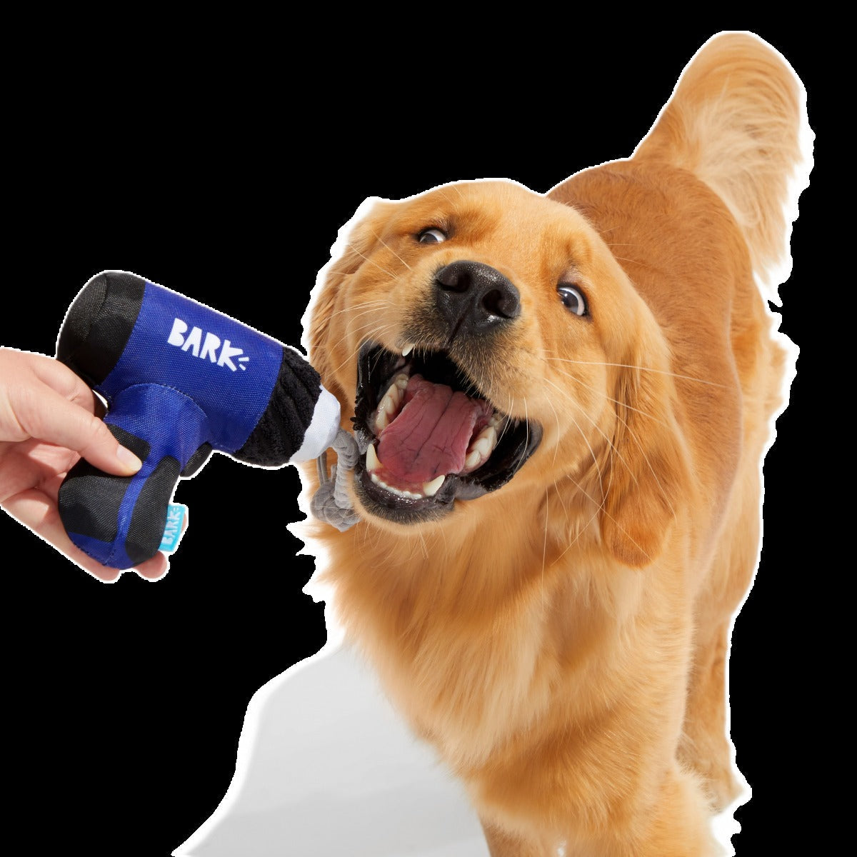 Tuggin’ Impact Drooler Plush Tug Dog Toy