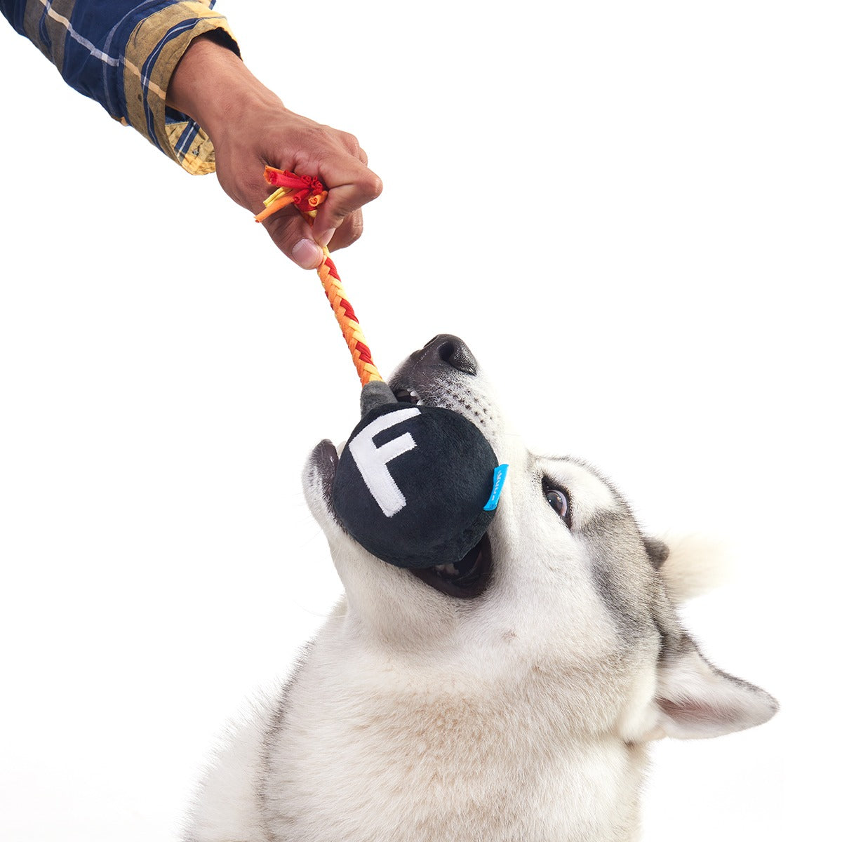 F Bomb Plush Tug Dog Toy