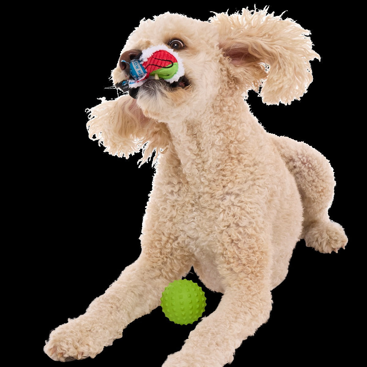 Sushi Roller Super Chewer Durable 2-in-1 + Fetch Dog Toy