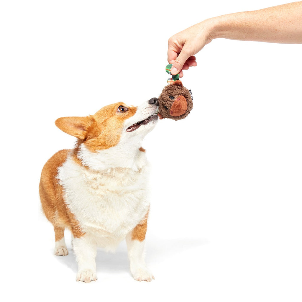 Plaidamoose Super Chewer Durable 2-in-1 + Fetch Dog Toy