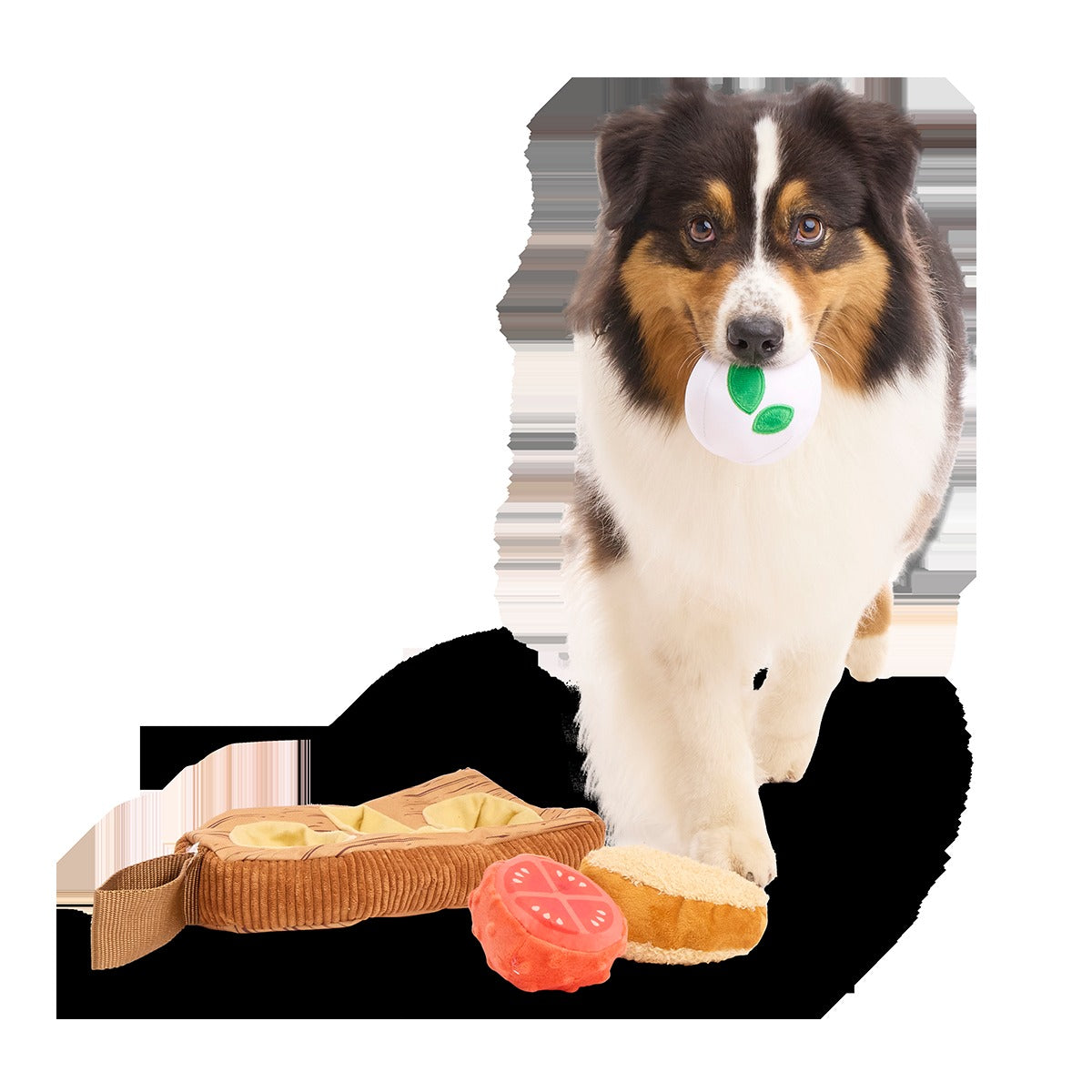 Antipawsto Board Plush Multi-Part + Enrichment Dog Toy