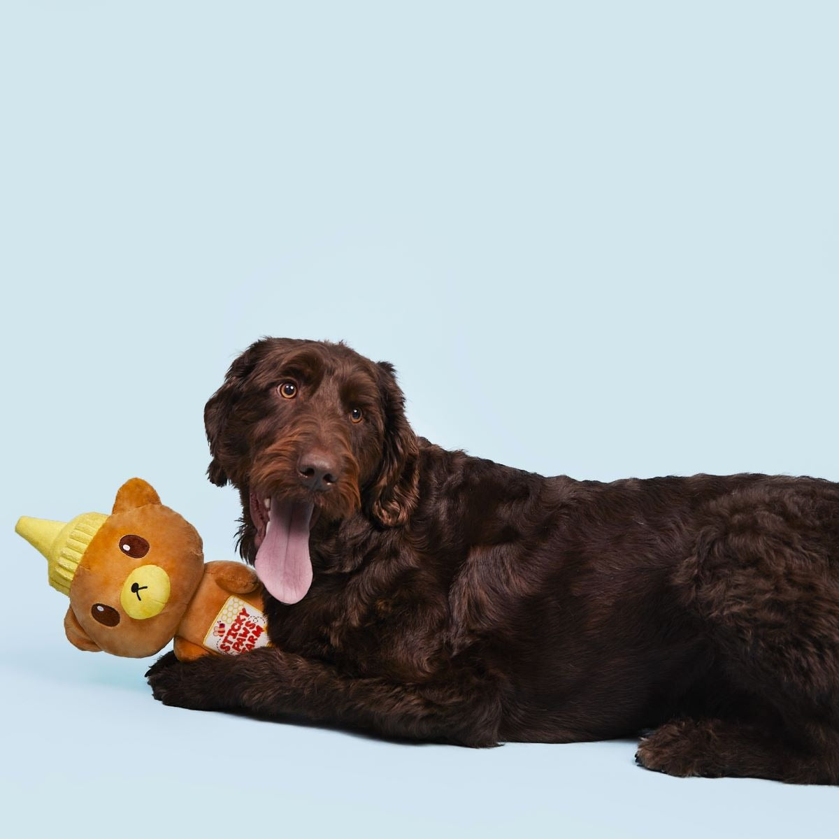Sticky Paws Honey Bear Plush Extra-Large Dog Toy