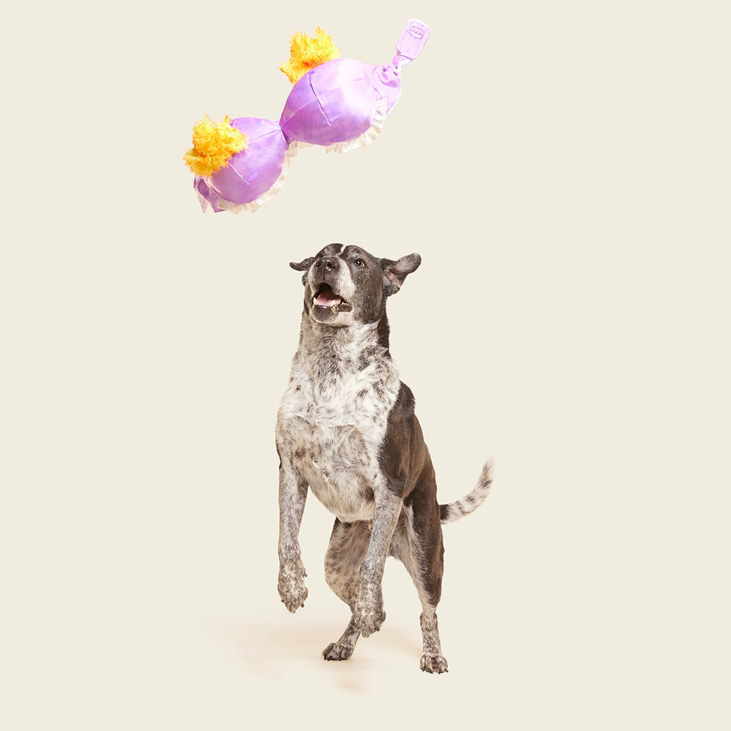 Bite the Patriarchy Plush Tug Dog Toy