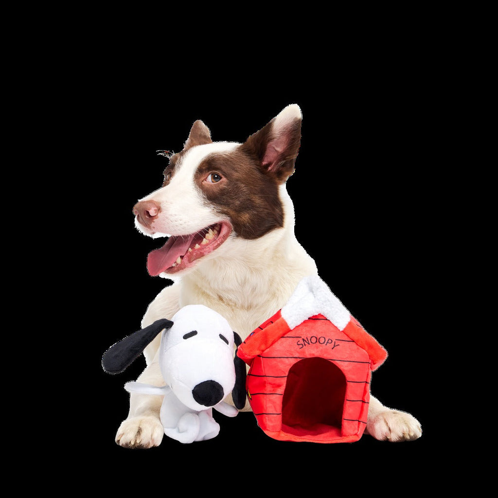 Doghouse Snoopy Plush Multi-Part Dog Toy