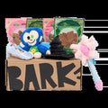 BARK 12 Month Subscription - Wicked Double Deluxe First Box