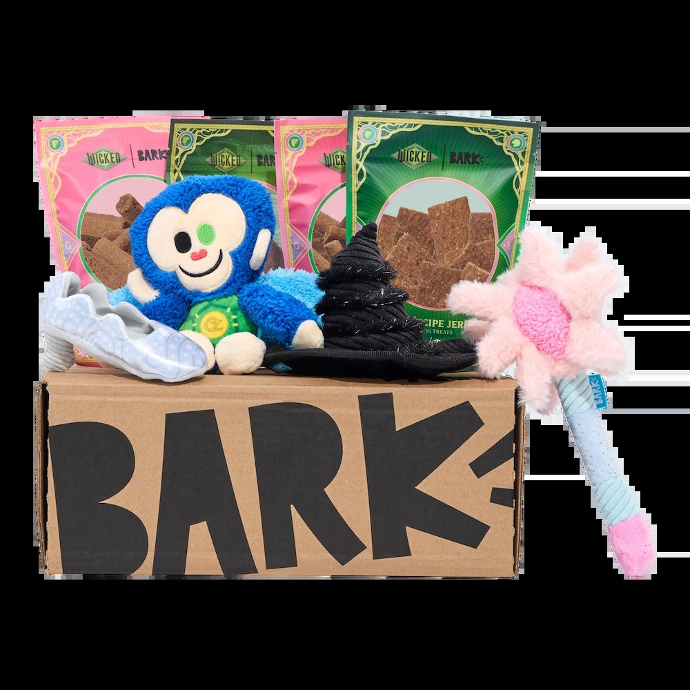 BARK 6 Month Subscription - Wicked Double Deluxe First Box